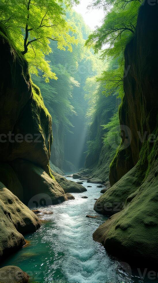Serene and Narrow River Gorge With Lush Greenery, Sunlight Filtering Through the Foliage, Highlighting the Moss Covered Rocks photo