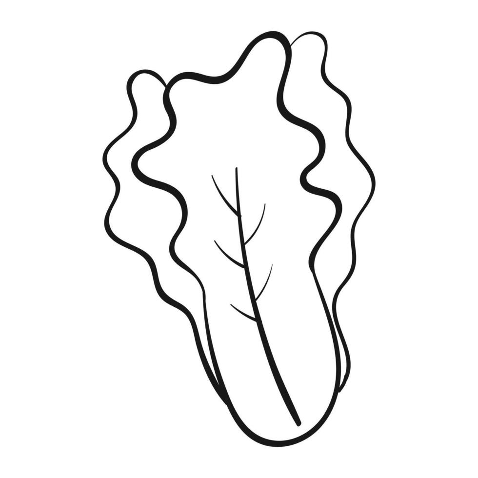 Healthy broccoli graphic illustration on white vector