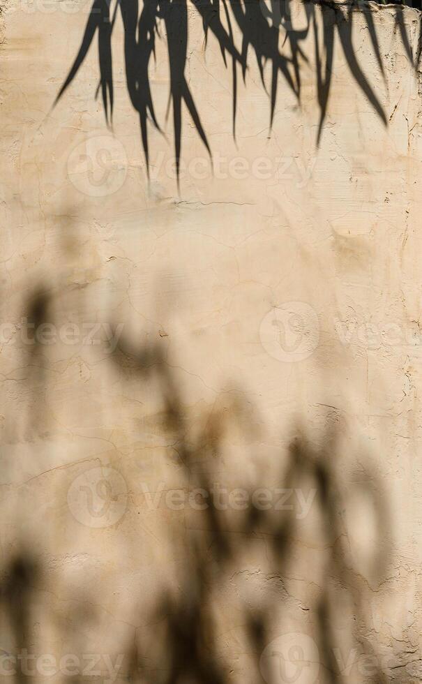 Branches and leaves of trees with shadow on a yellow wall background. Space for text, space for copy, top view photo