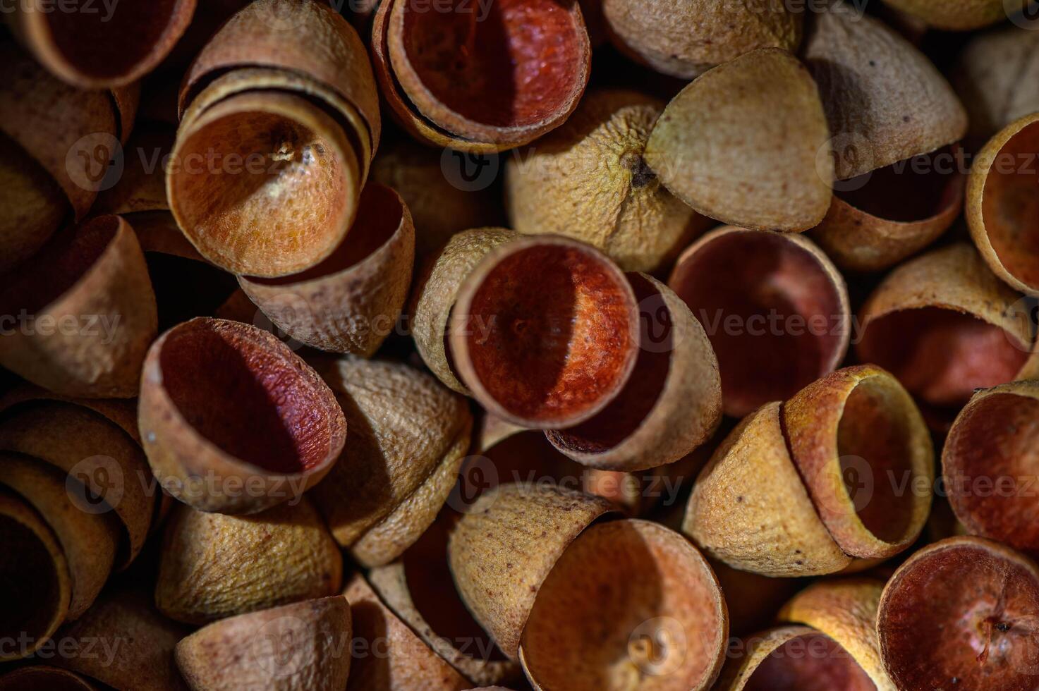 bunch of eucalyptus seed pods caps abstract background , nature background 1 photo