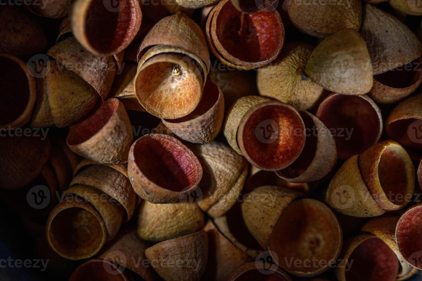 macro photography of eucalyptus seed pods abstract background , nature background 1 photo
