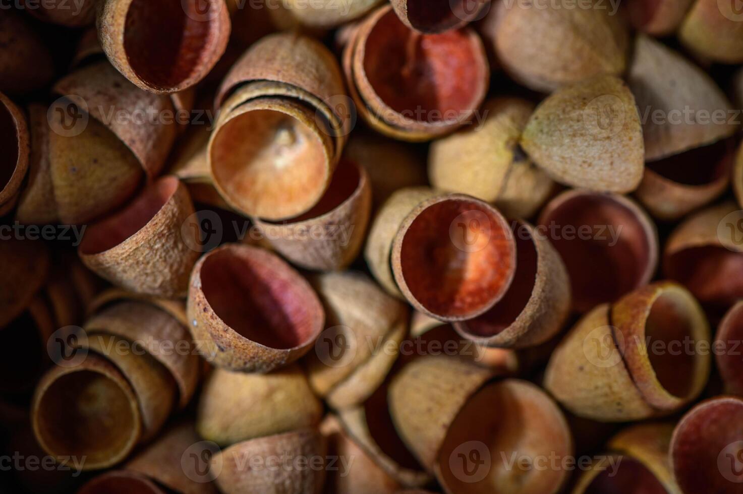 Eucalyptus Seed Pod Caps, Tiny Eucalyptus Caps, 2 photo