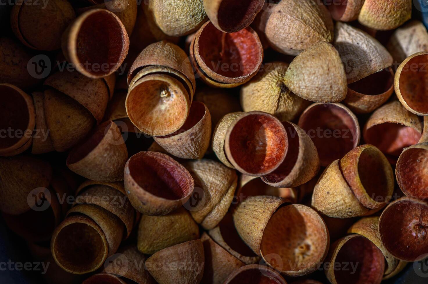 Eucalyptus seed pods abstract background , nature background photo