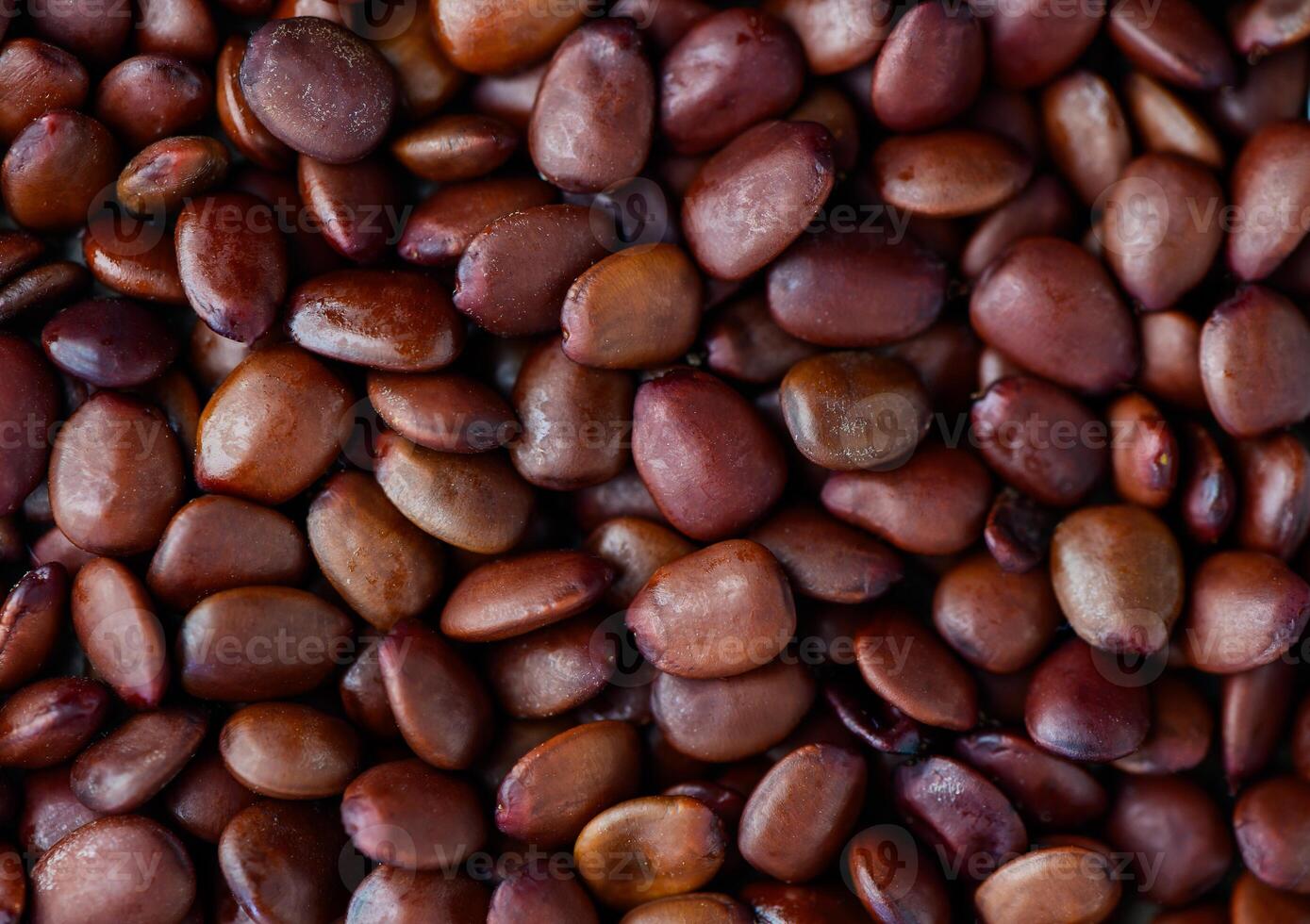 one seed used to serve as a measure of the weight of jewelry, as a background photo