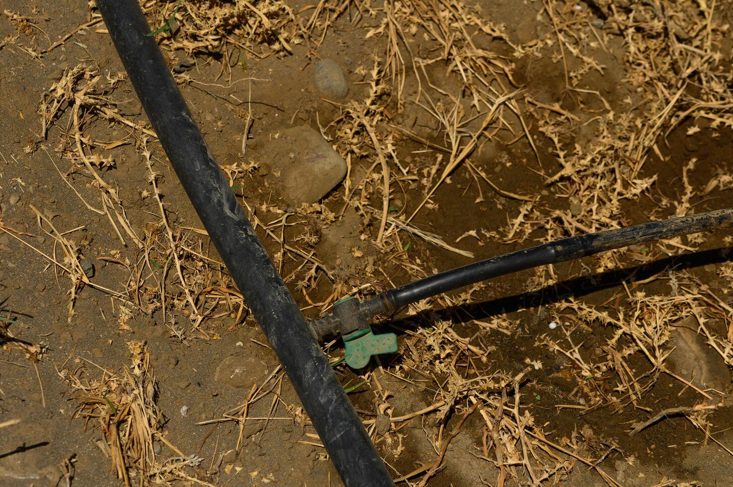 an automatic drip irrigation system for his garden. Fixing and connecting pipes using a fitting 1 photo