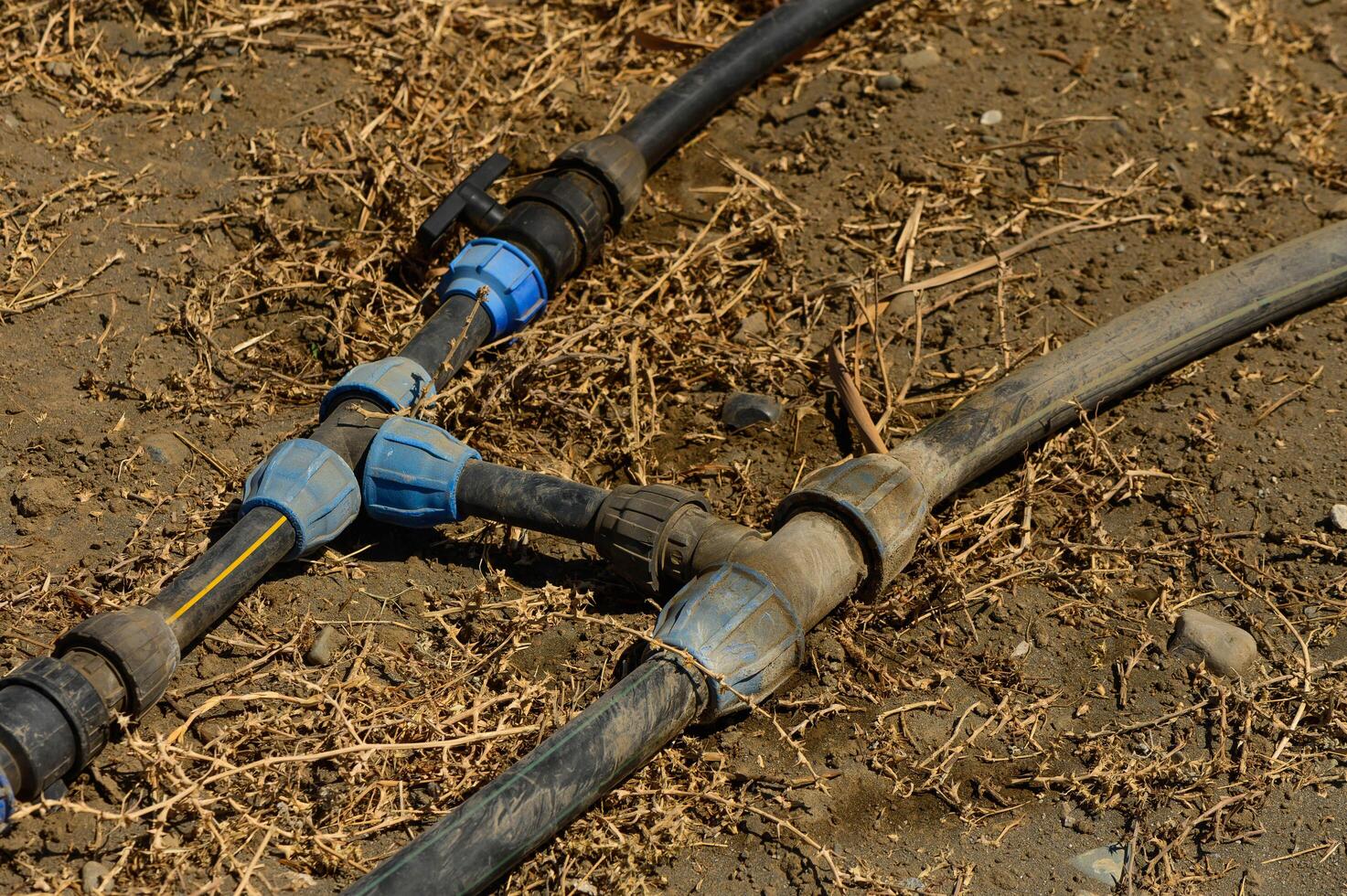 an automatic drip irrigation system for his garden. Fixing and connecting pipes using a fitting photo