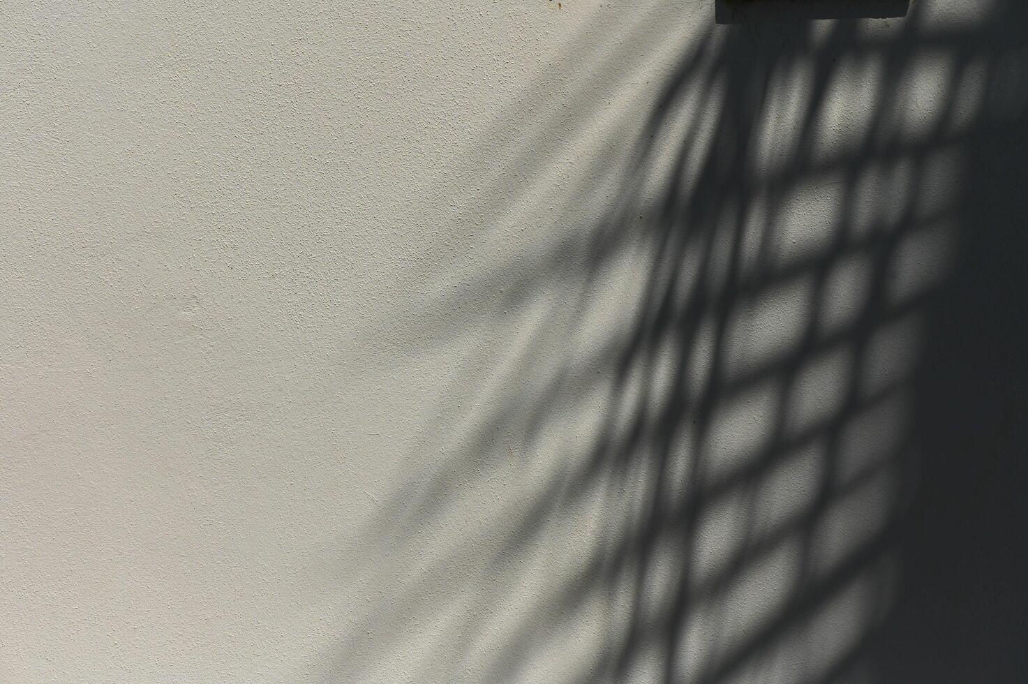 Gray shadows from tropical leaves on white background. photo