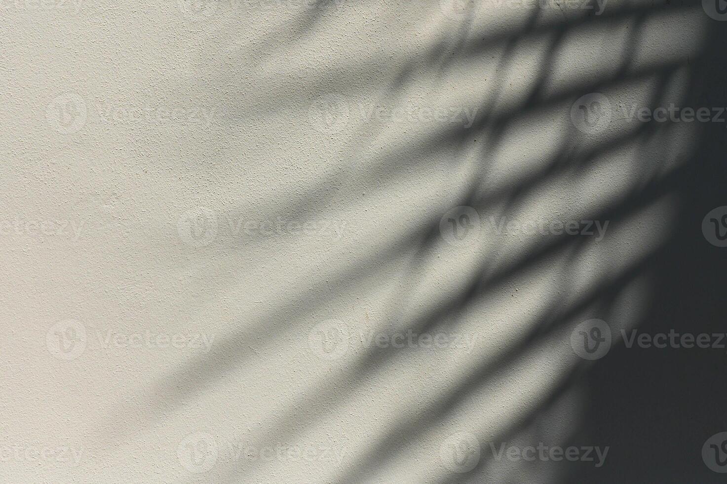 Pastel neutral beige botanical background. Trendy palm tree tropical backdrop.1 photo