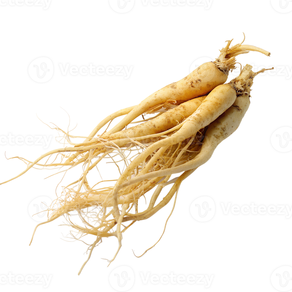ginseng isolated on background png