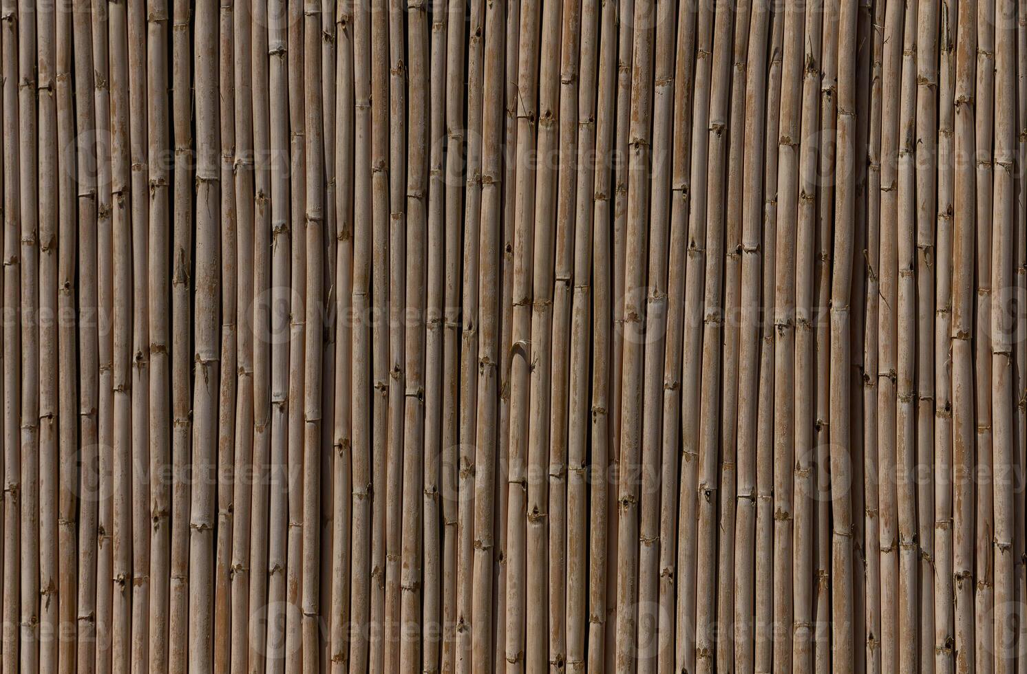 Dry bamboo texture Bamboo stick background photo