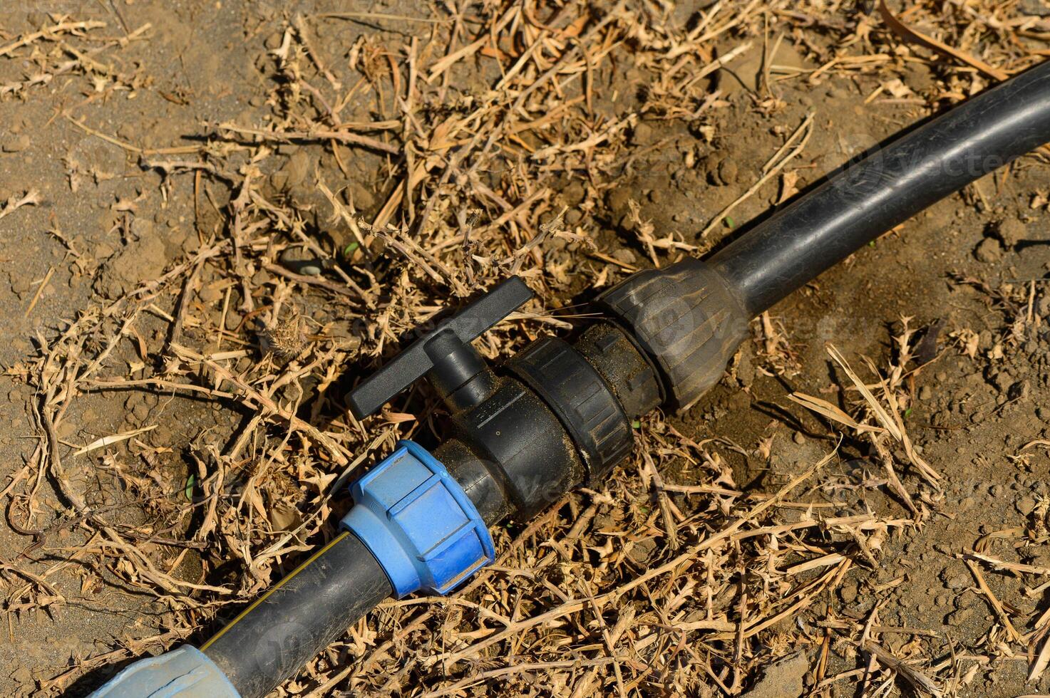 Close up of drip irrigation system - selective focus photo