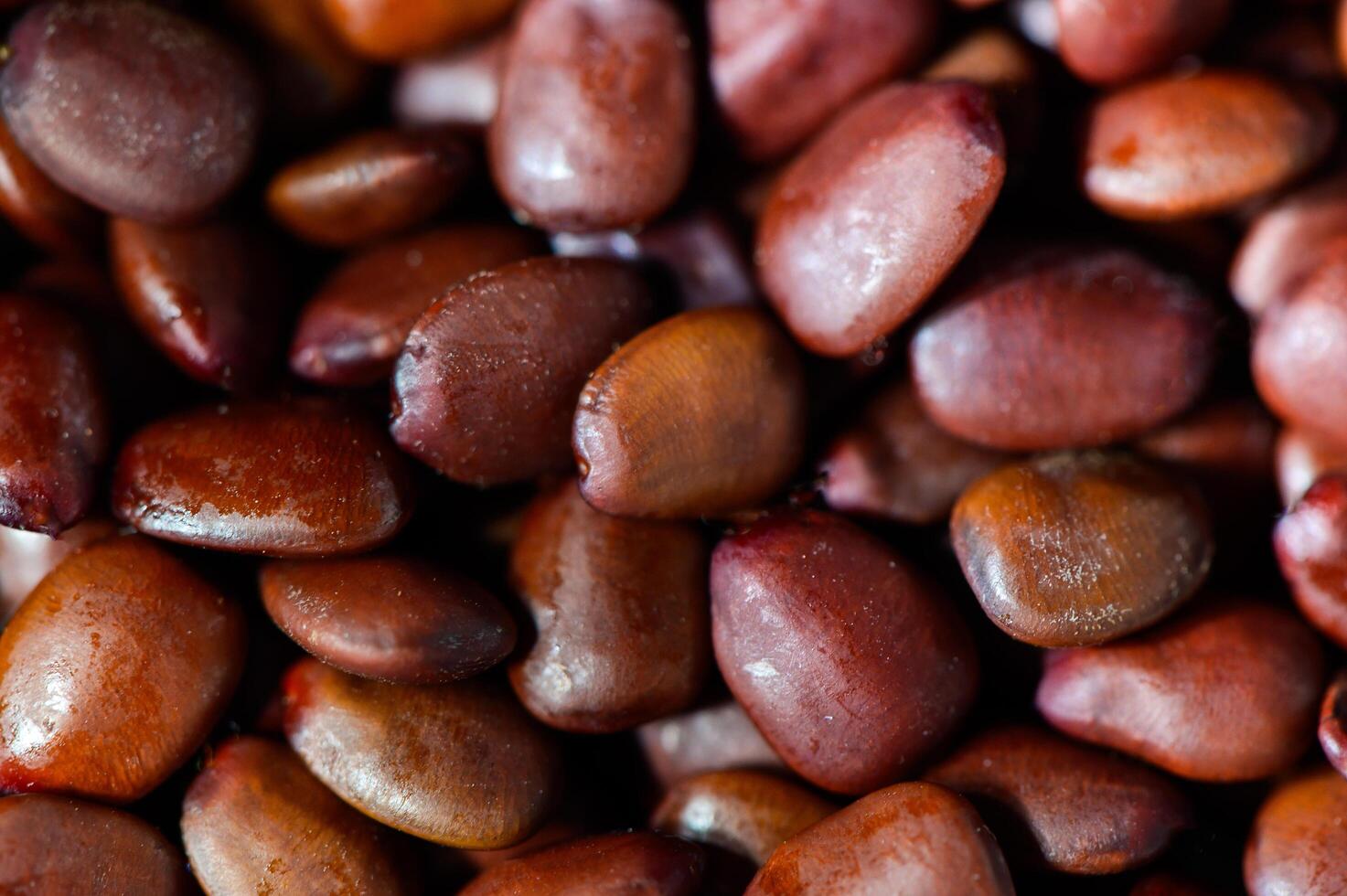 one carob seed weighs one carat photo