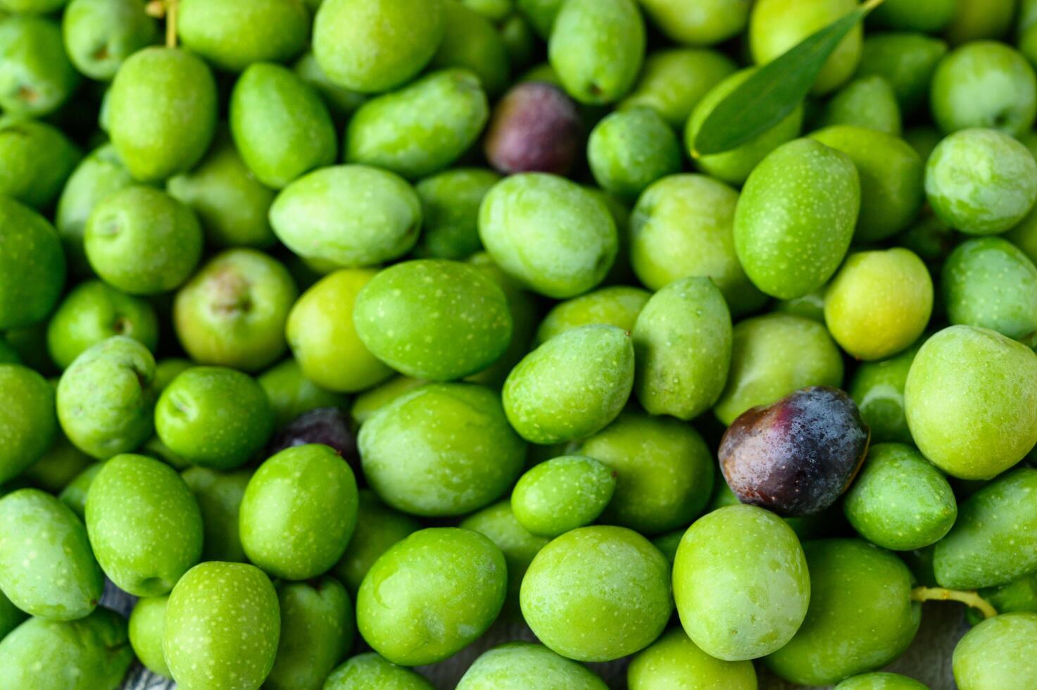 Background of green olives, closeup fresh Mediterranean vegetables. photo