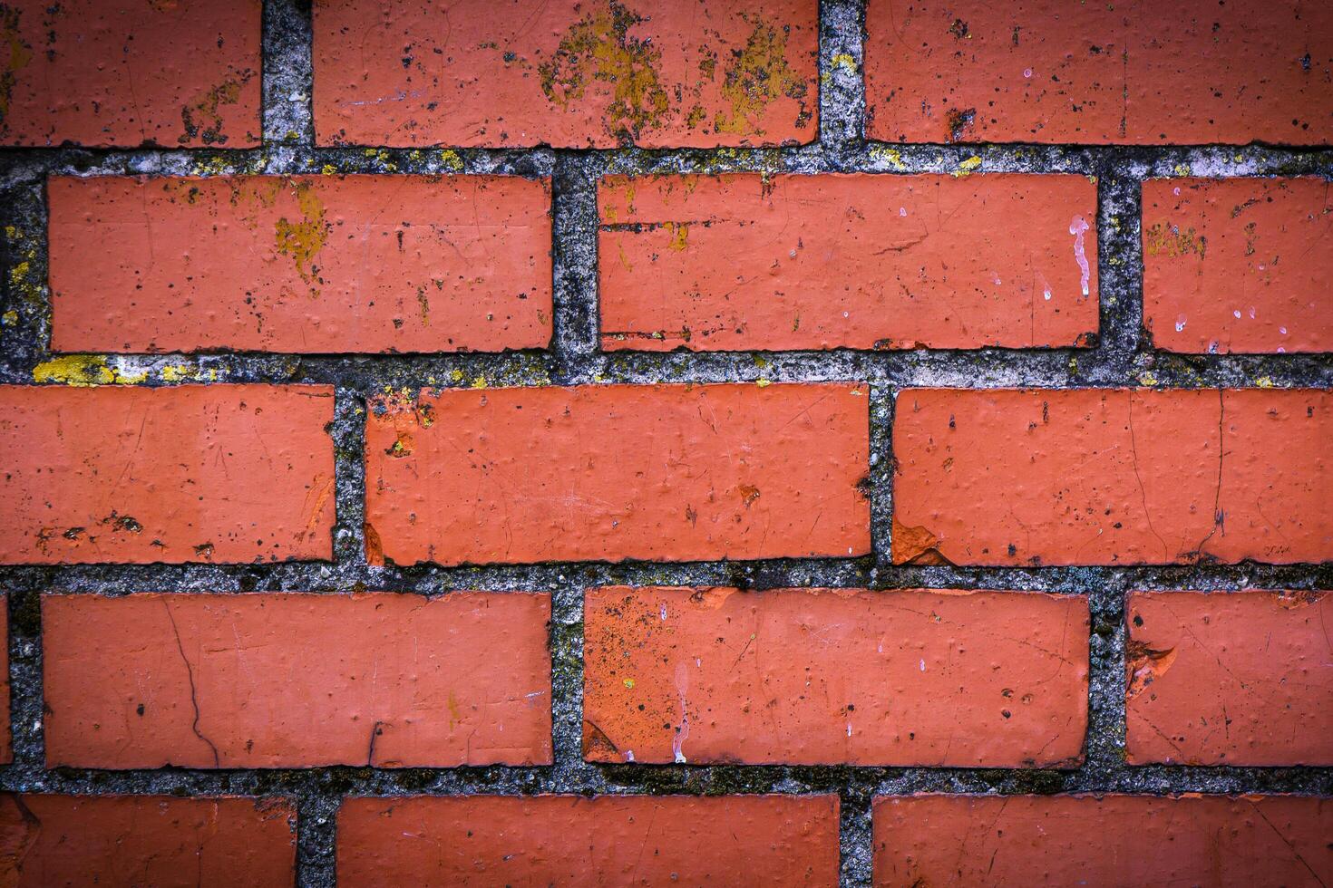 Red Brick Wall close up photo
