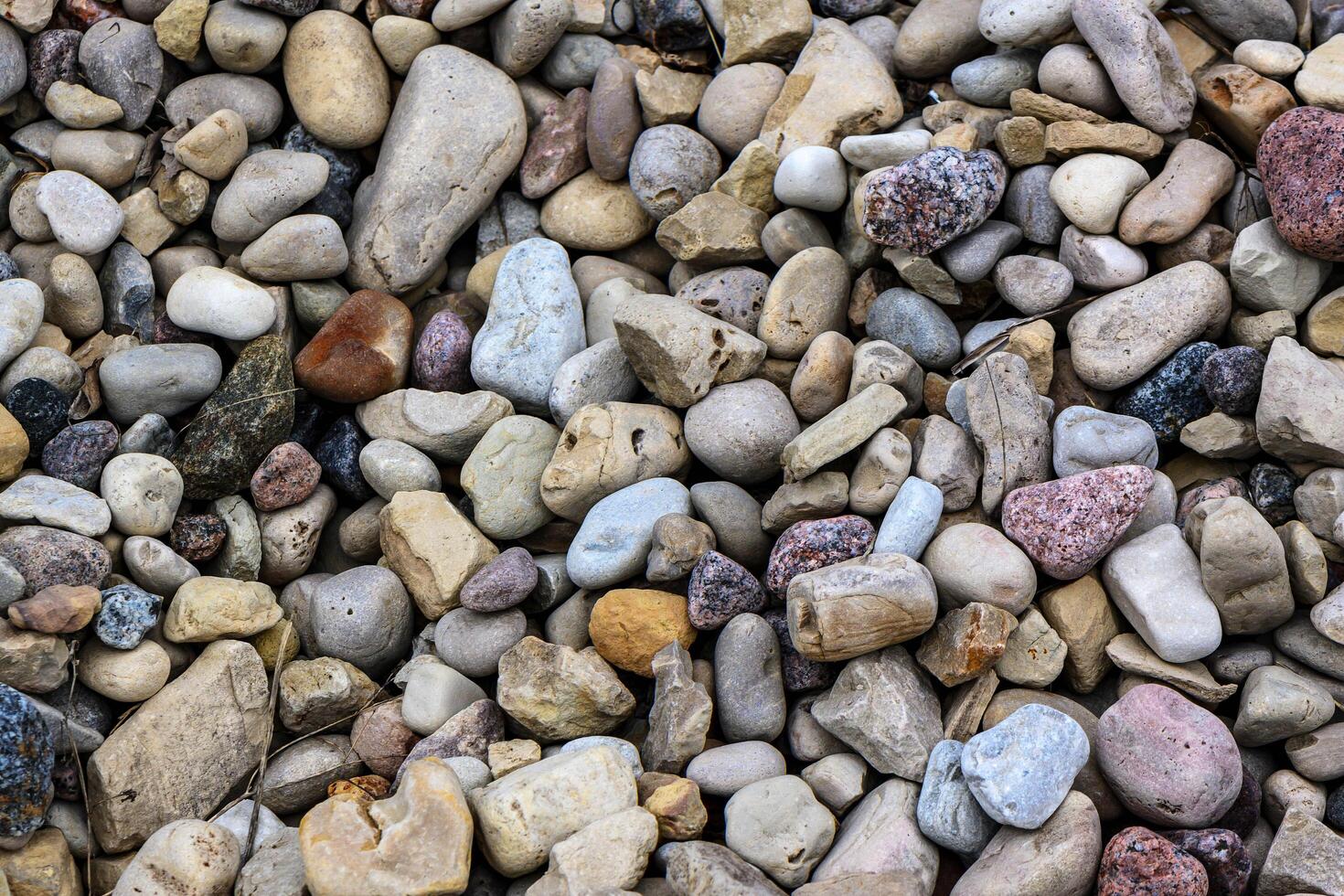 Gravel pattern of colored stones with shell. photo