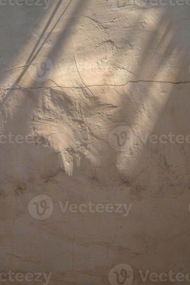 Shadow overlay effect of sun blind with palm leaves photo