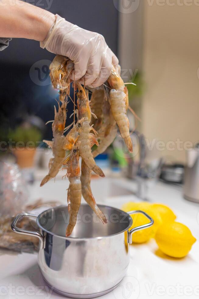 Cropped hand holding shrimps in kitchen photo