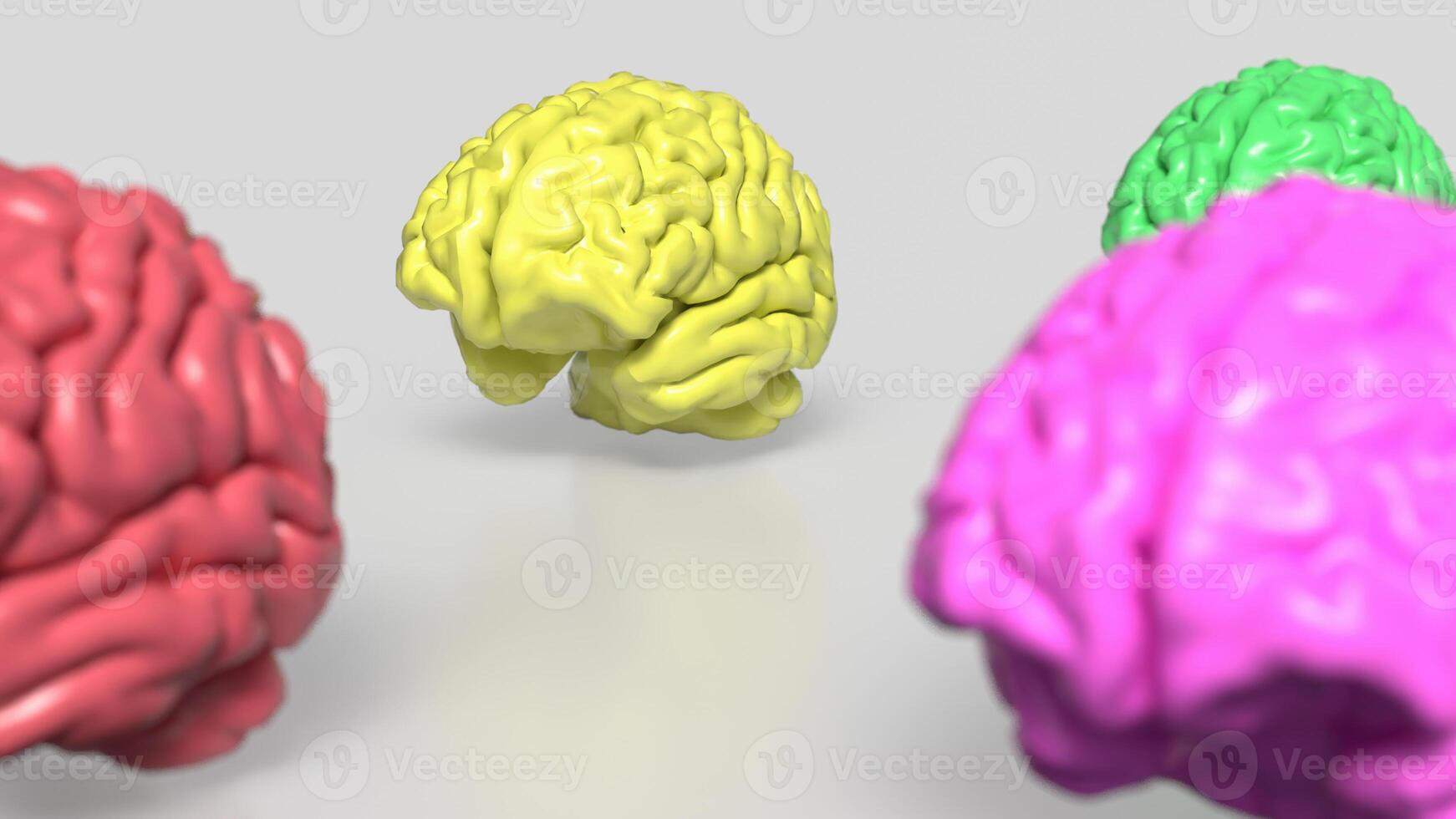The Multi color Brain on white Background 3d rendering. photo