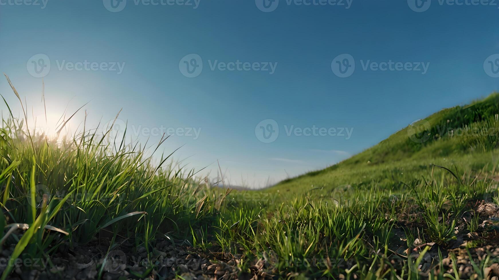 Green Grass Landscape Under Blue Sky in Springtime photo