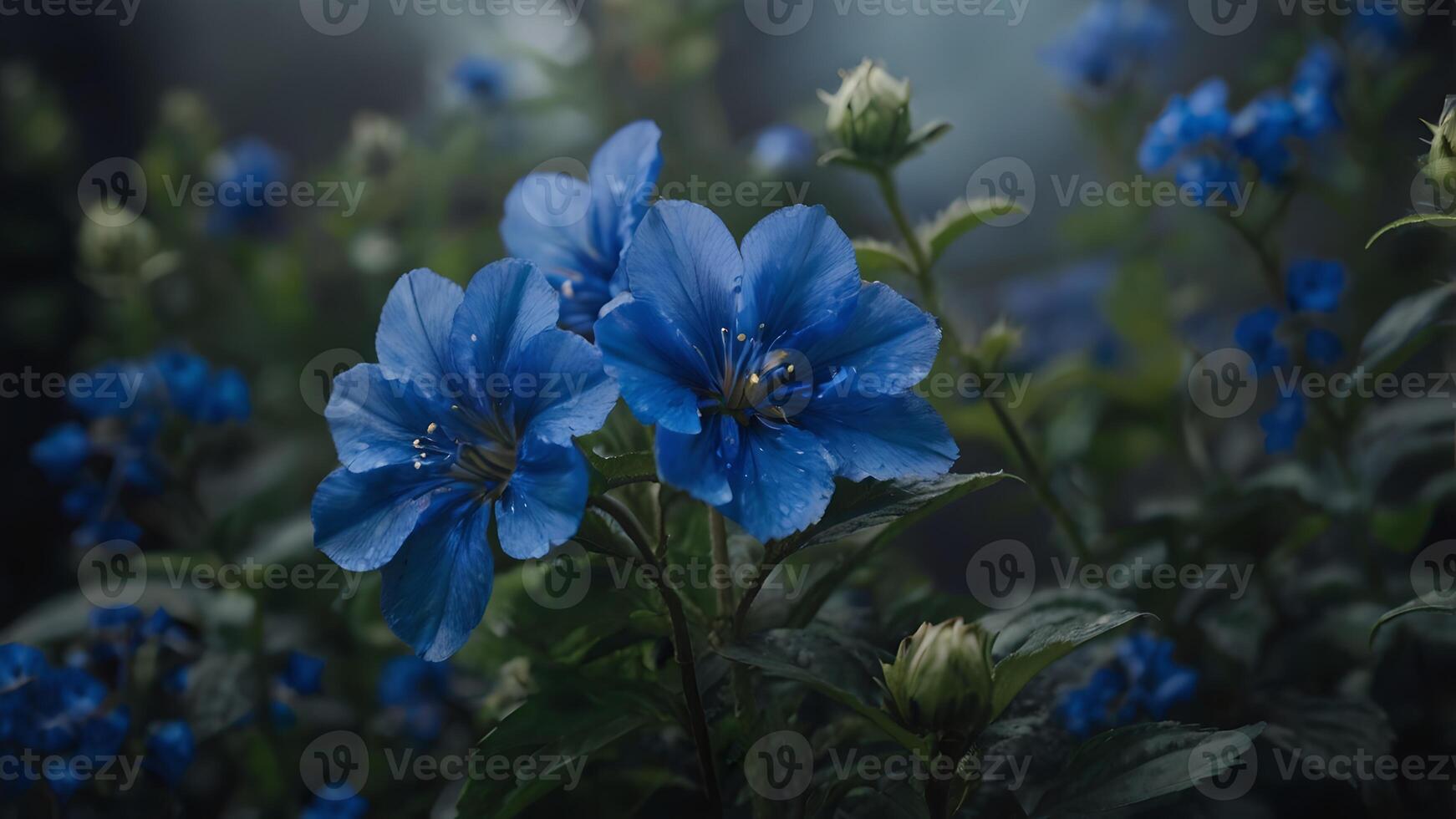 Blue Flowers Blooming in a Lush Garden photo