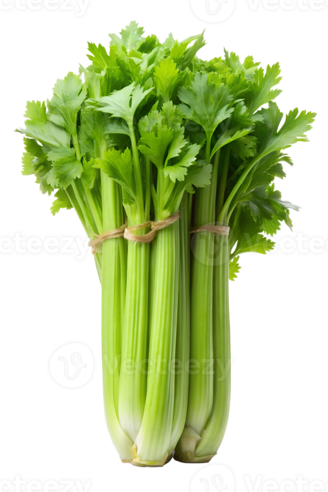 celery isolated on a transparent background png