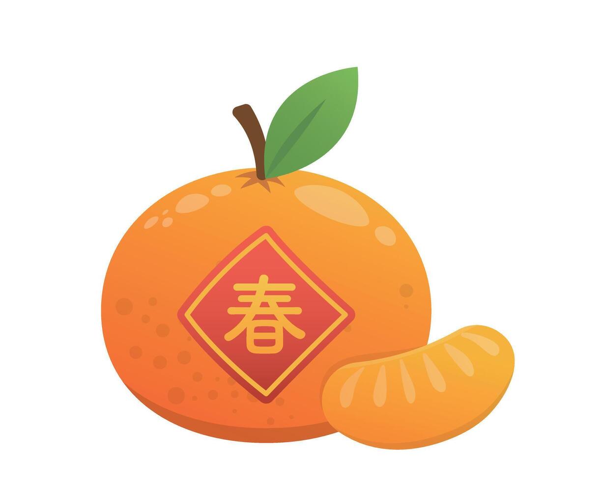 Orange with skin and orange pulp isolated on white background, red festive Chinese New Year fruit, symbol of good luck and happiness, illustration or icon vector