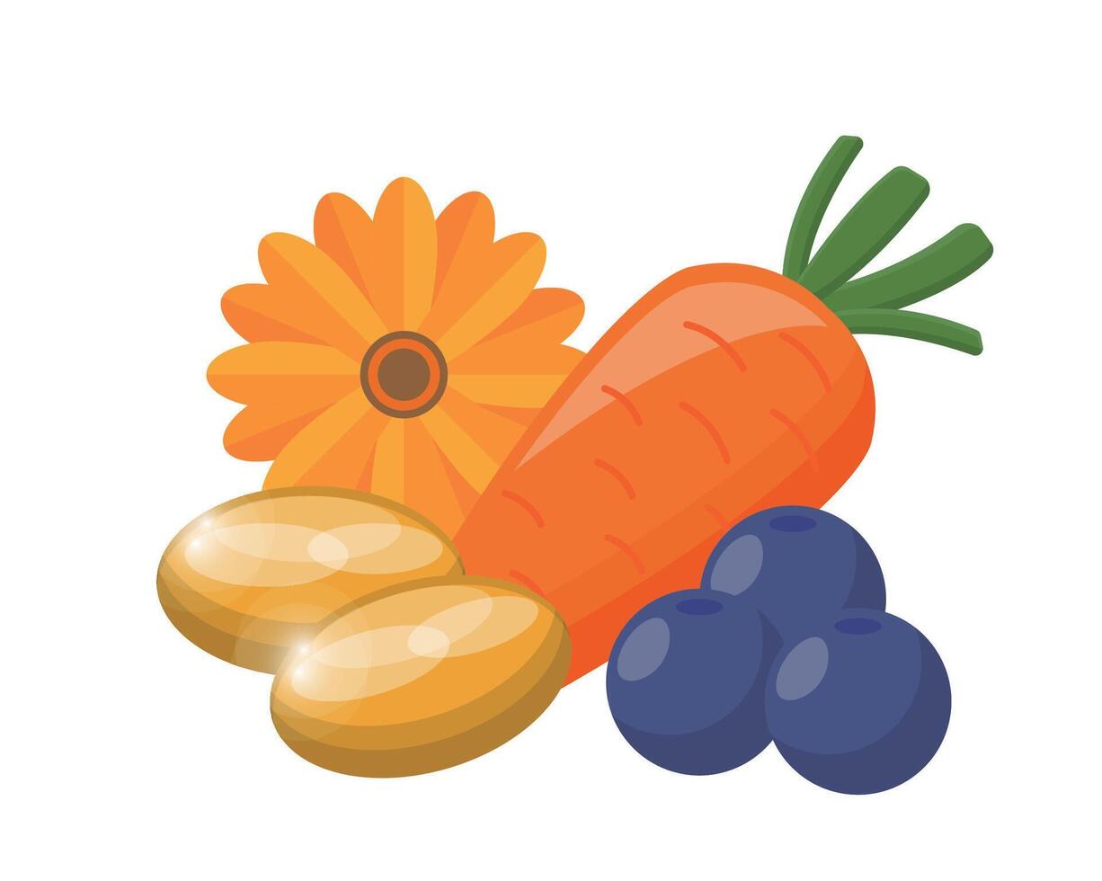 Lutein and calendula health food, vitamins, health vector
