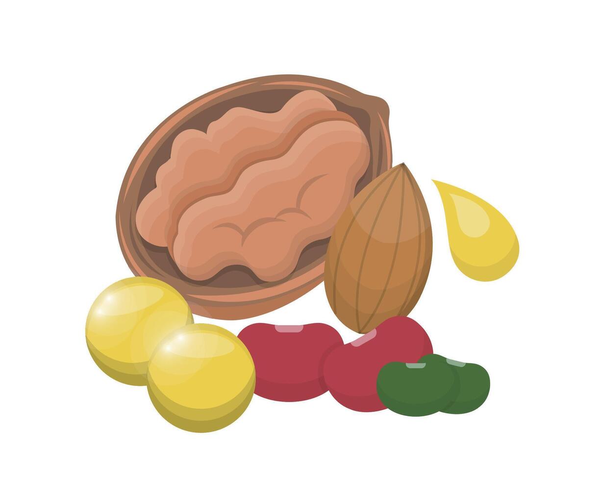 Vitamin E and walnut walnut health food, vitamin, health vector