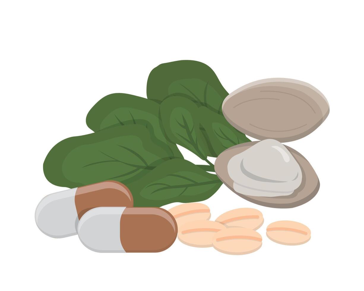 Iron FE and spinach oyster health food, vitamins, health vector
