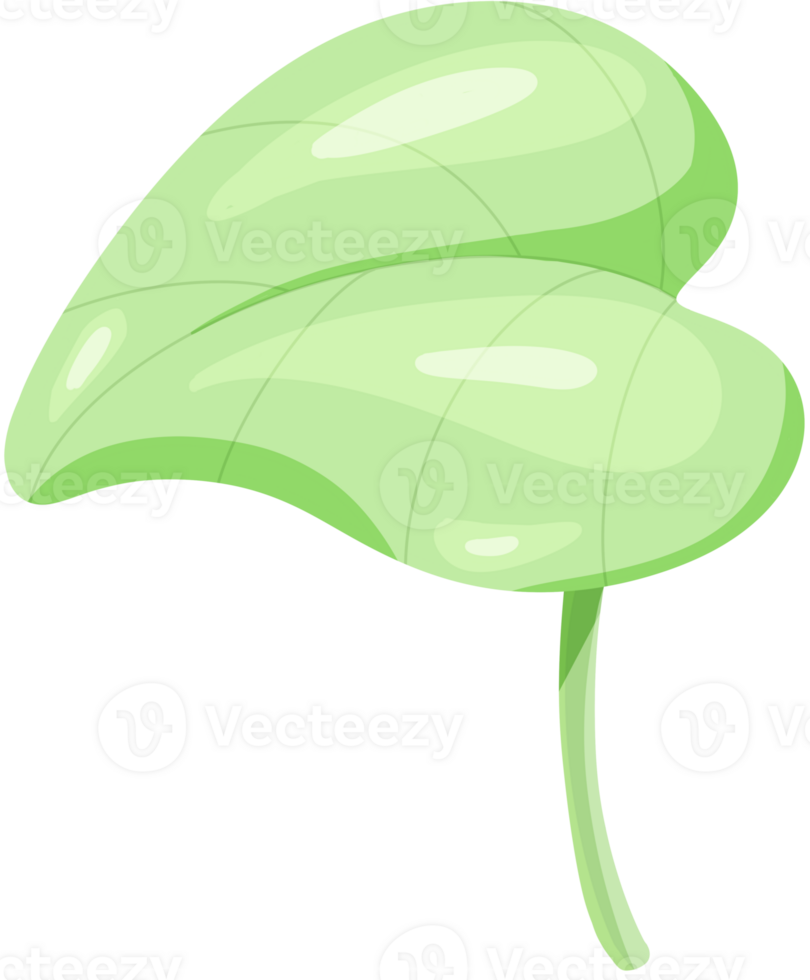 green tree with green leaf png