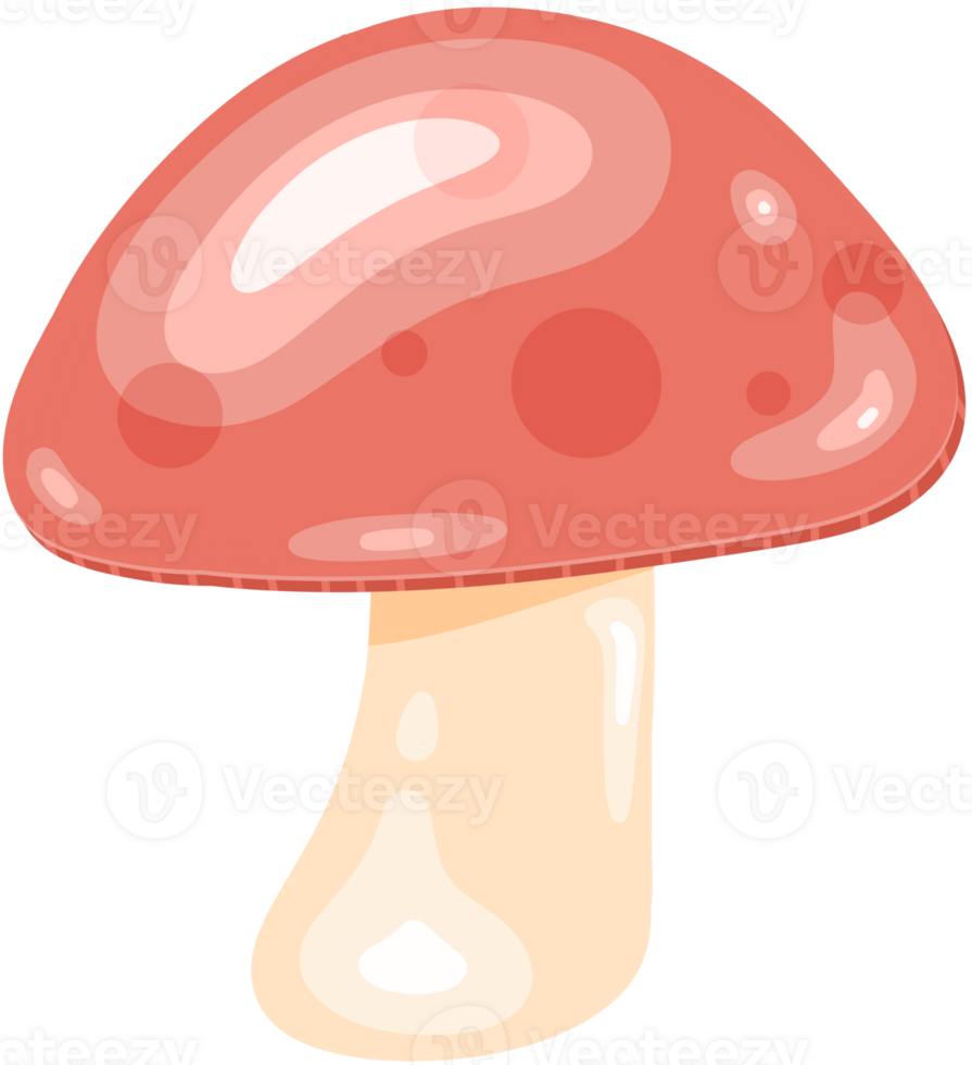 fly agaric mushroom png