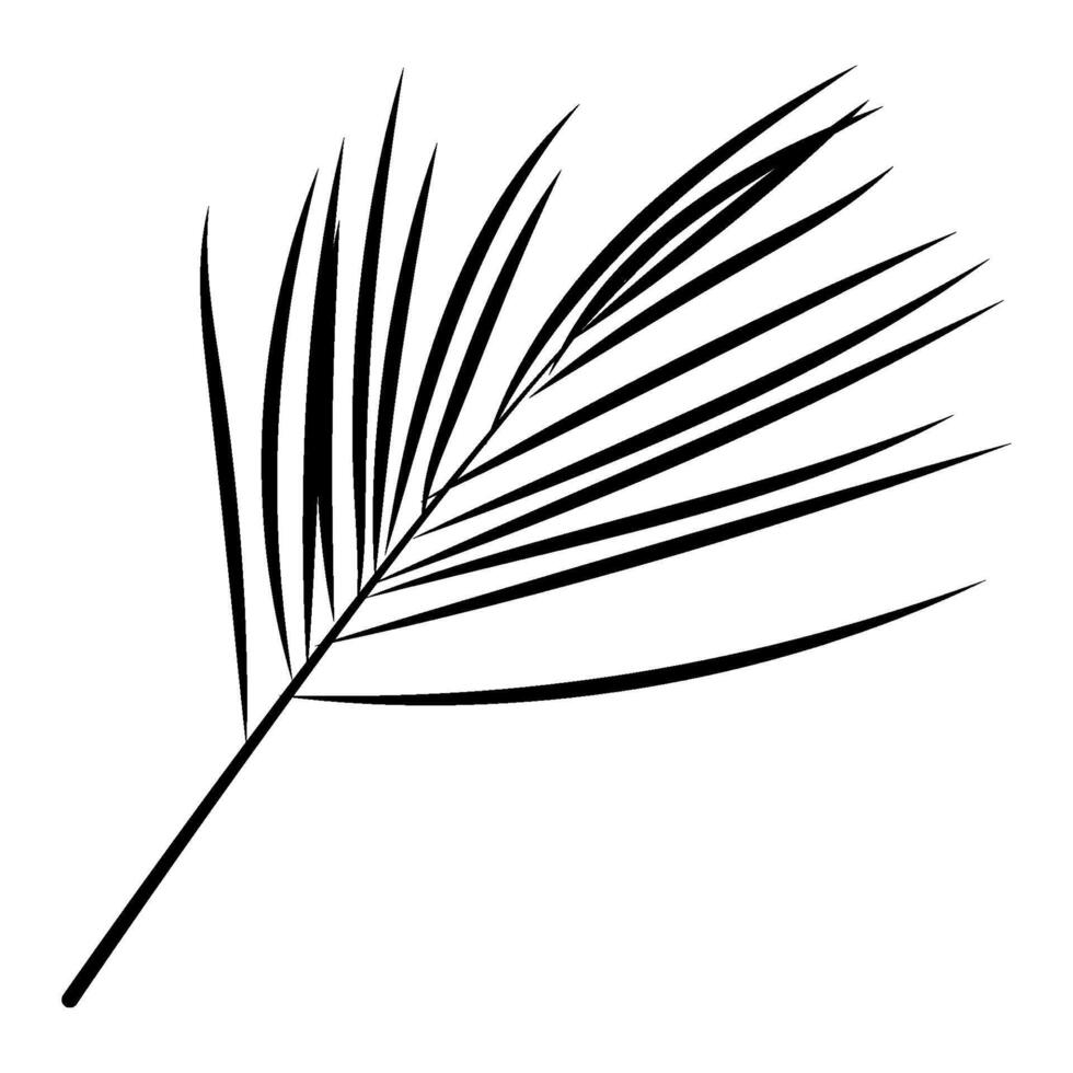 Black Palm Leaf Background. Tropical drawn text background. vector