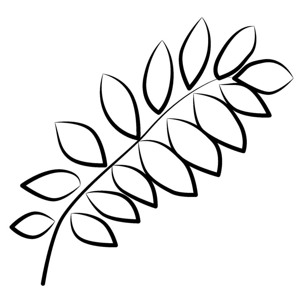 Autumn botanical line drawing set, hand drawn fall floral elements, line drawing illustration vector