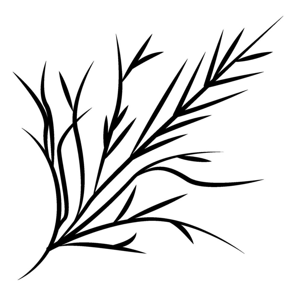botanical linocut ink plant stamps illustration with texture and organic elements, herbs print vector