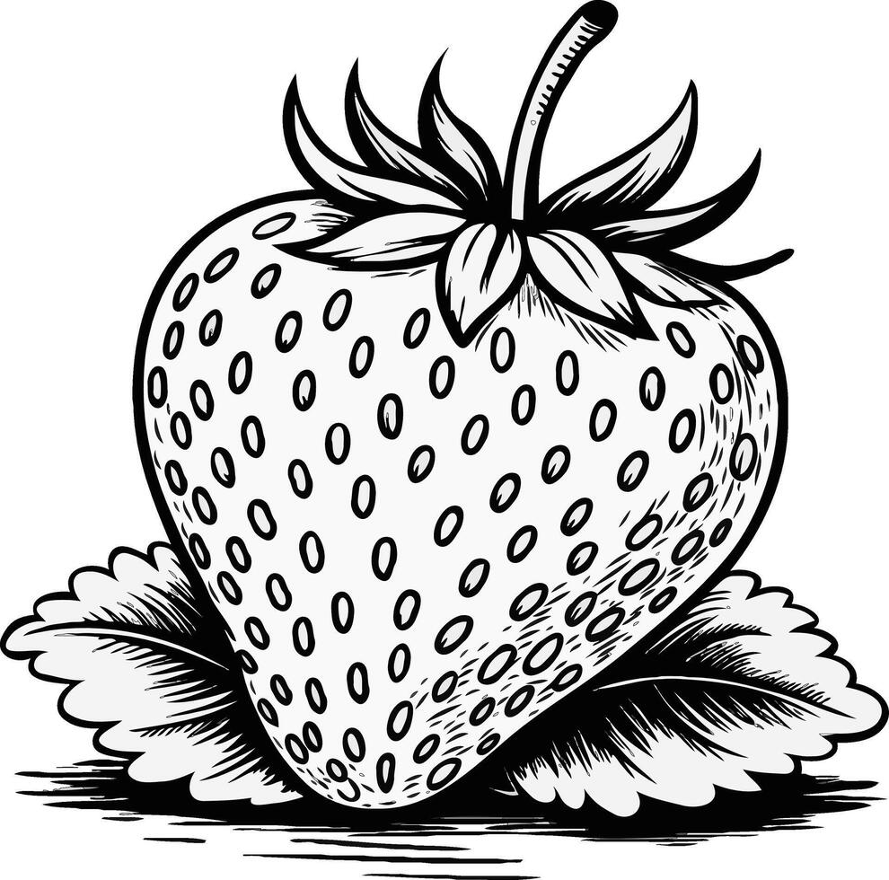 a silhouette Strawberry vector