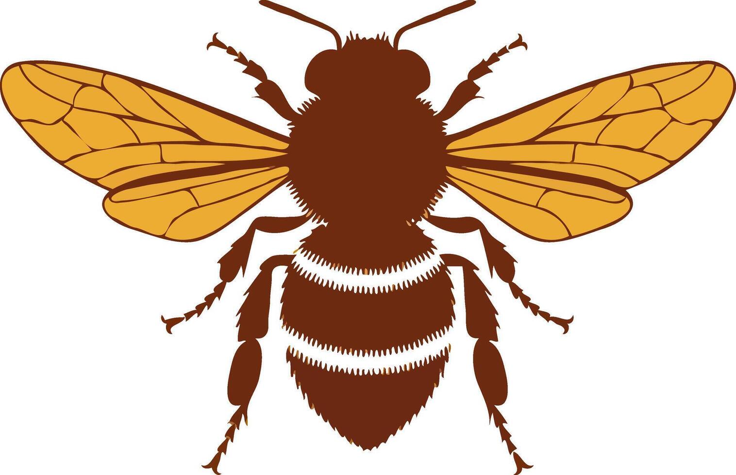 A bee with brown wings and yellow stripes vector
