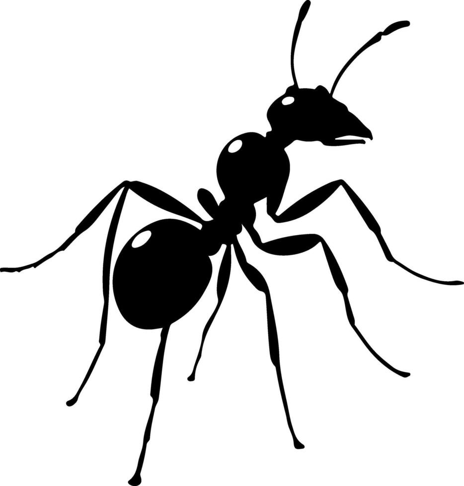 Ant clip art free download vector