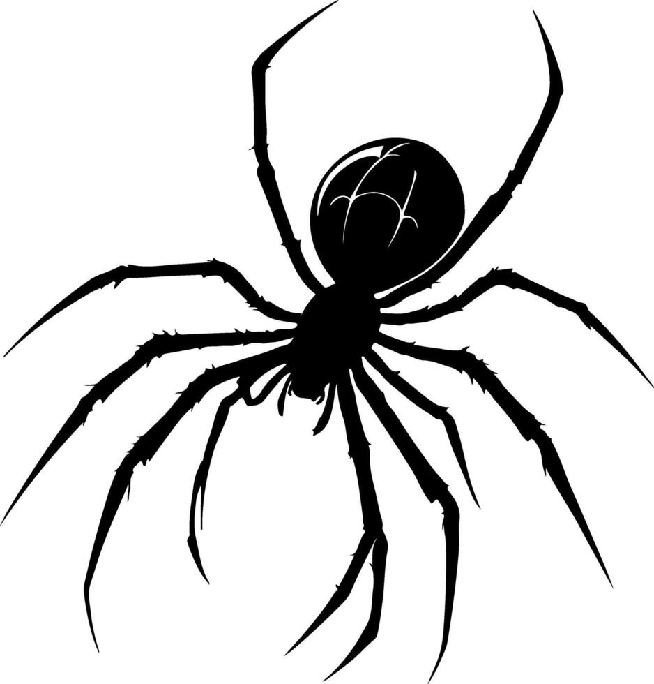 Black widow spider clipart vector