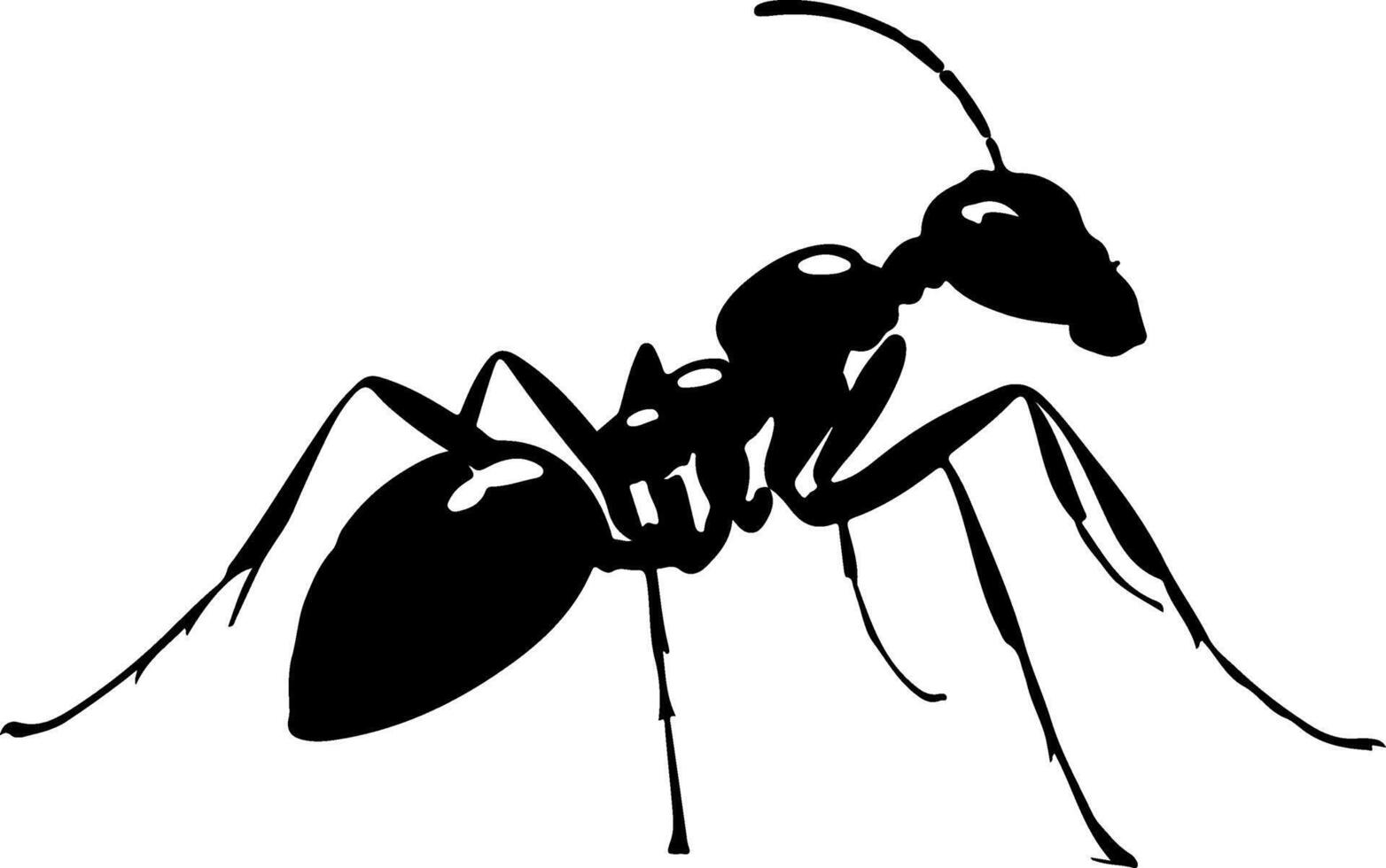 Ant clip art free download vector