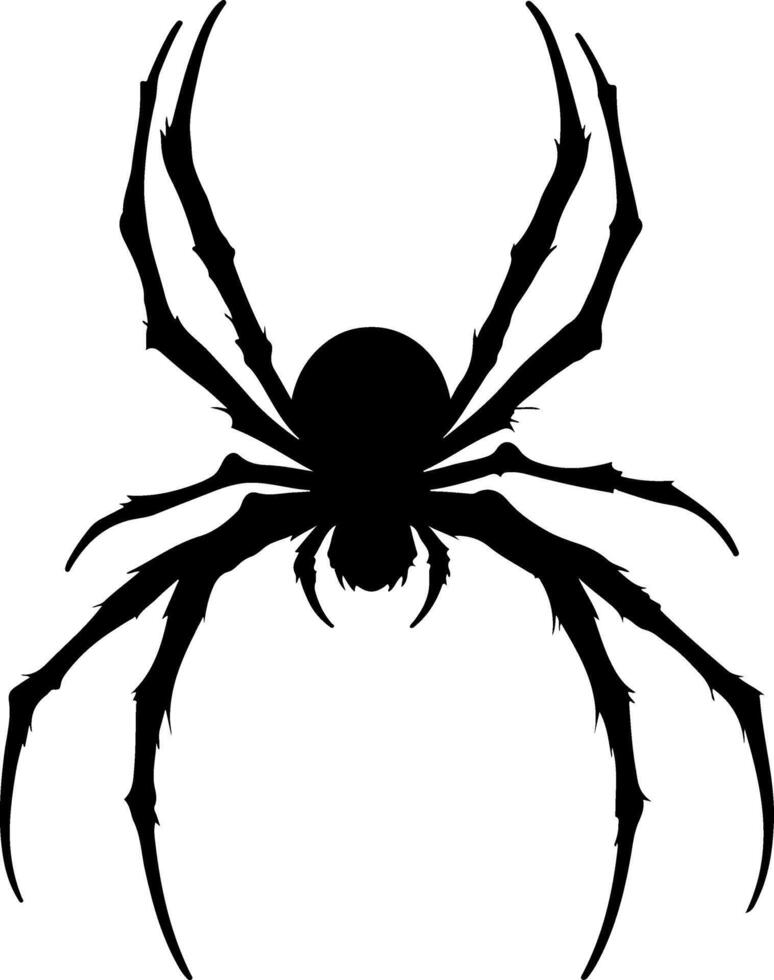 A black spider on a white background vector