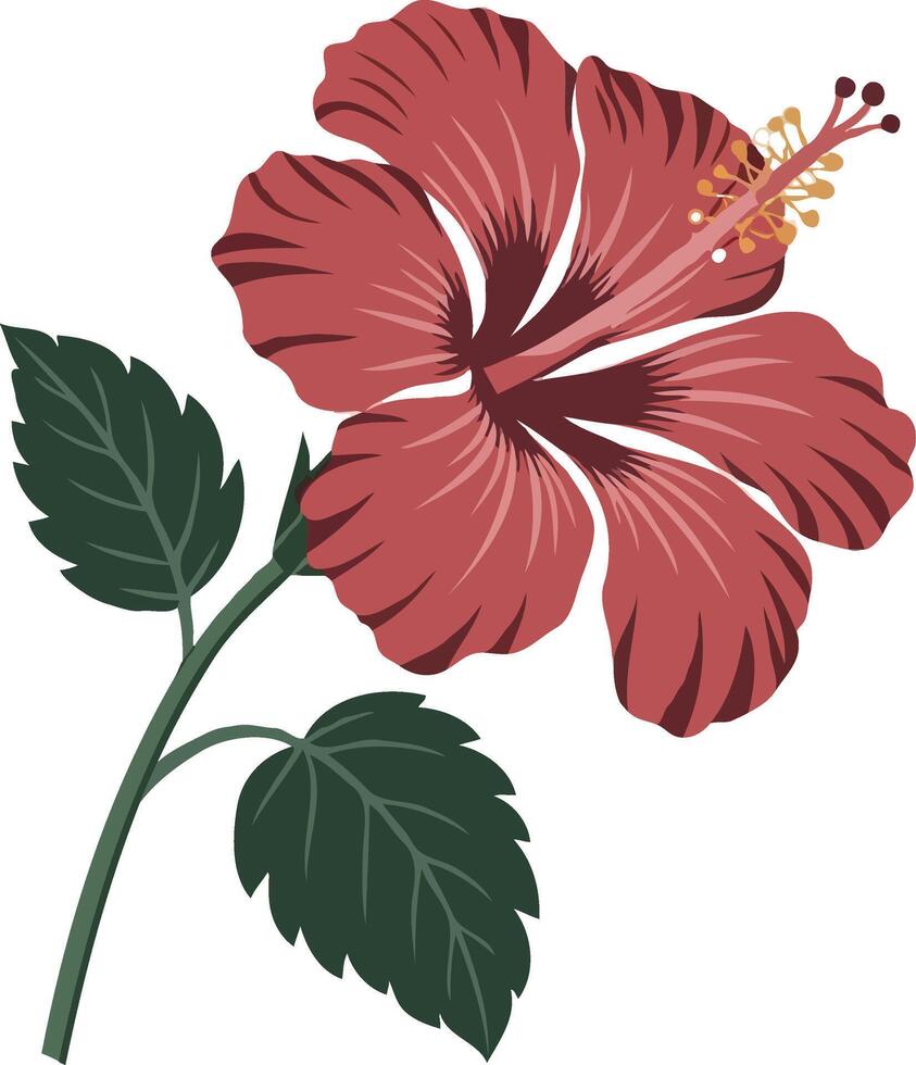 A red hibiscus flower with green leaves vector