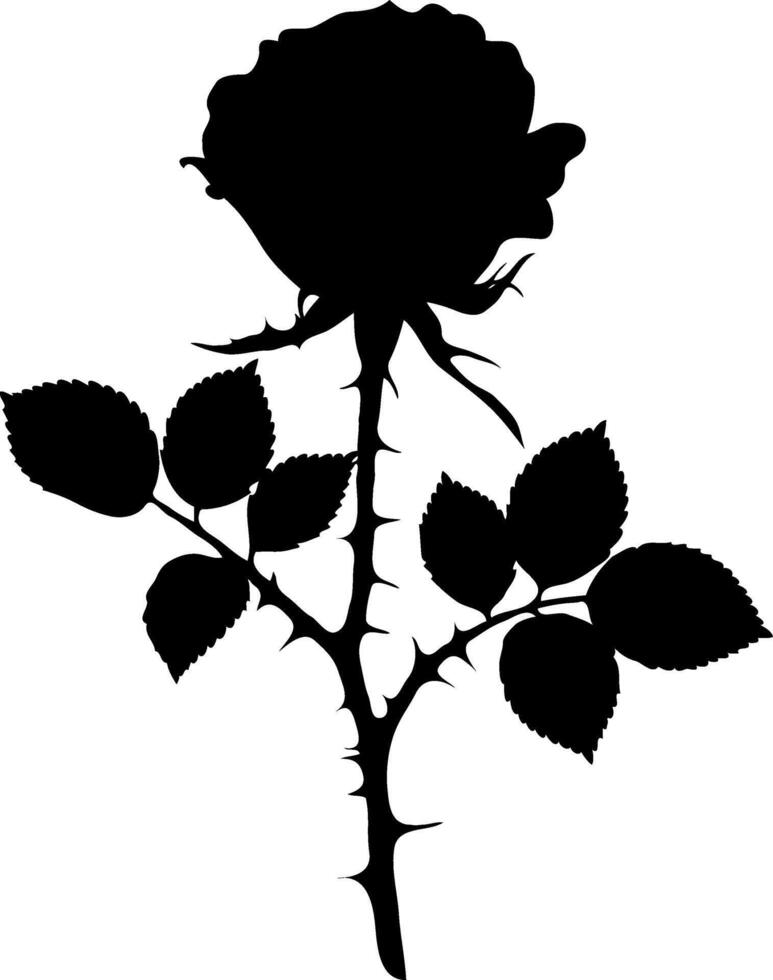 A rose is silhouetted against a white background vector