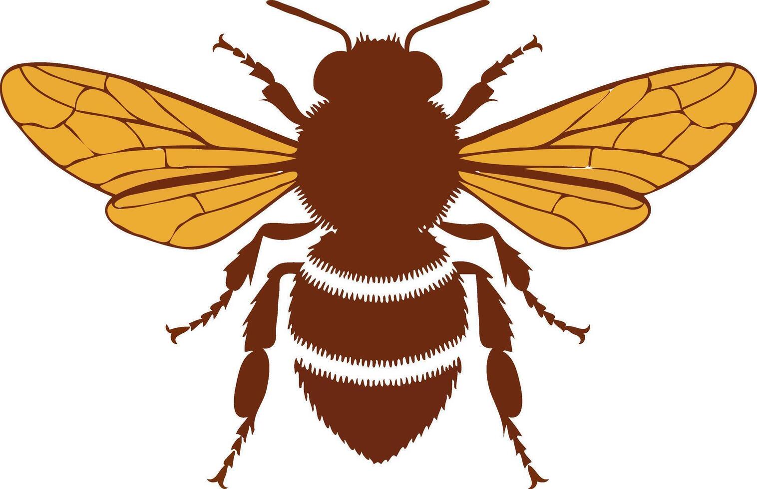 A bee with brown wings and yellow stripes vector
