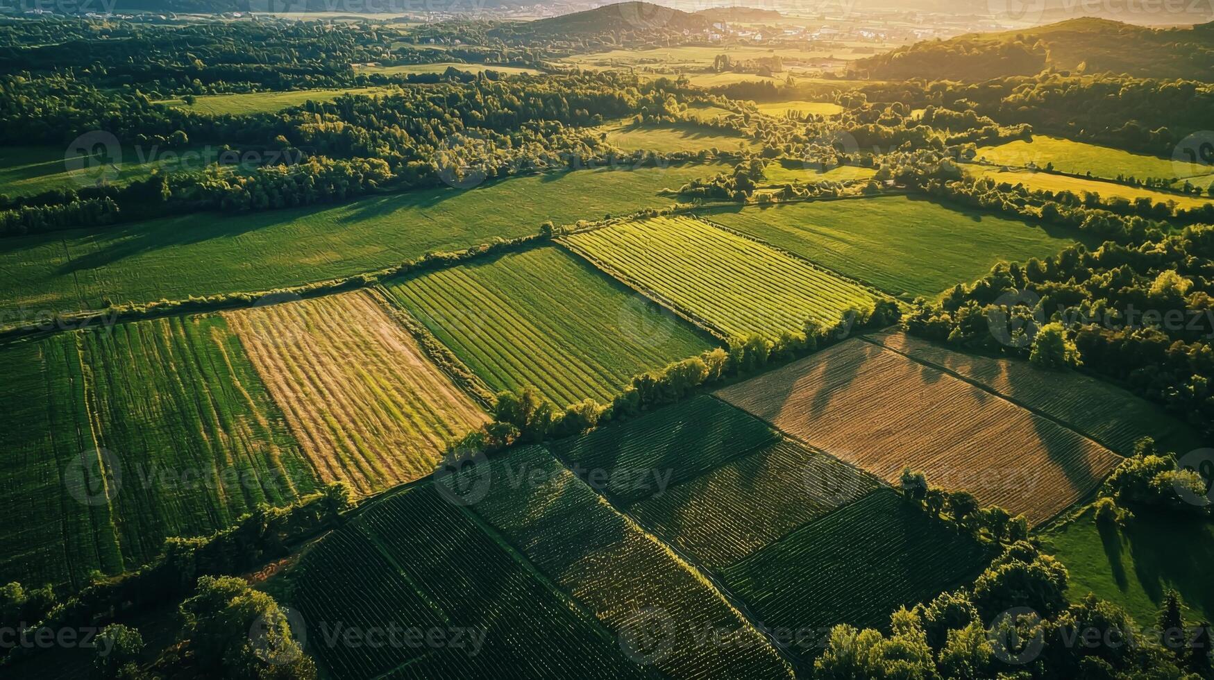 Aerial view of sprawling agricultural landscape with neatly arranged fields. Farmland photo