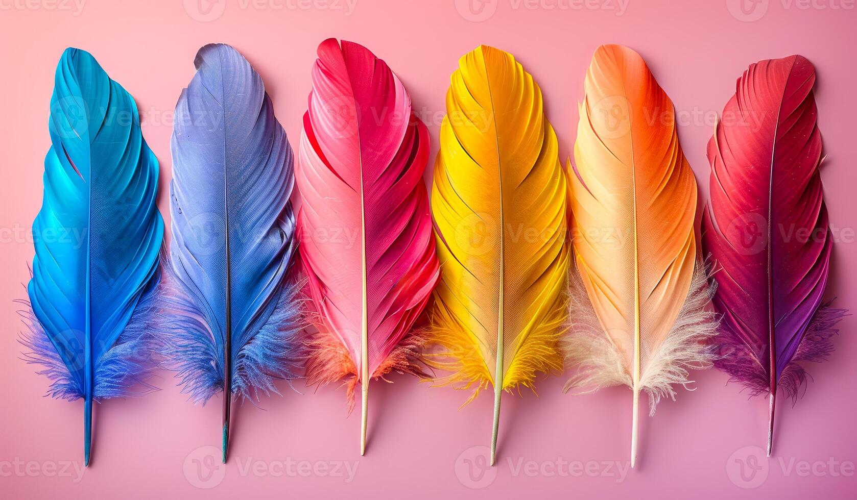 A row of colorful feathers on a pink background. The feathers are of different colors, including blue, yellow, and red. Concept of vibrancy and diversity photo