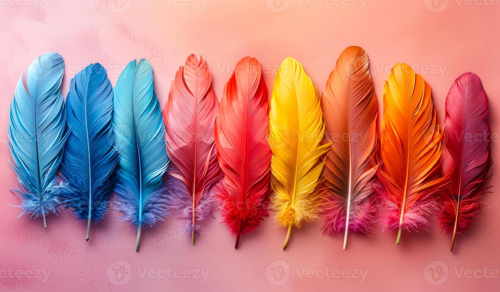 A row of colorful feathers on a pink background. The feathers are arranged in a rainbow pattern, with each feather a different color. Concept of vibrancy and beauty, as well as a feeling of freedom photo