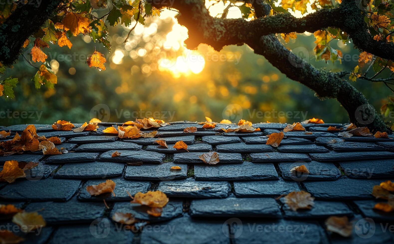 A tree branch is above a pile of leaves. The leaves are orange and yellow, and they are scattered across the ground. The sun is shining through the leaves, creating a warm and peaceful atmosphere photo