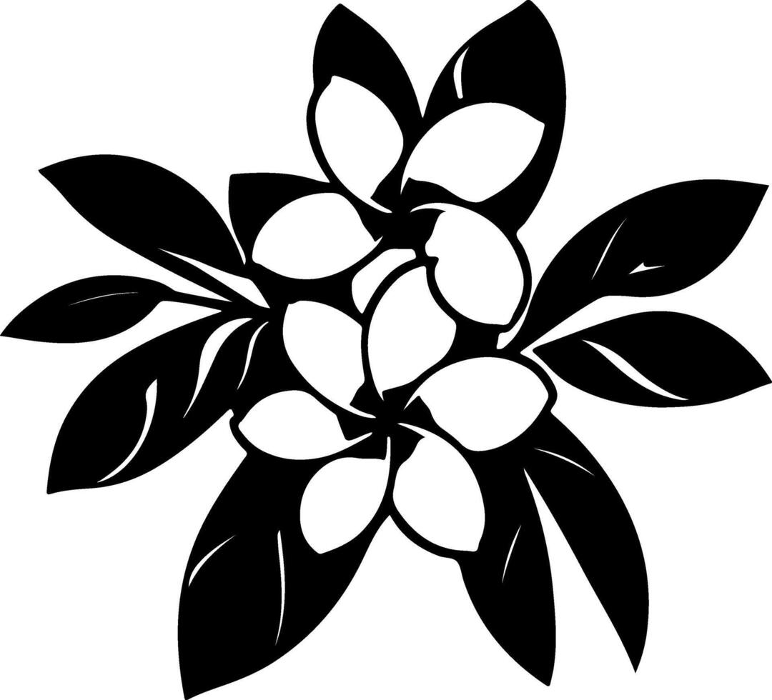 A black and white flower with leaves vector