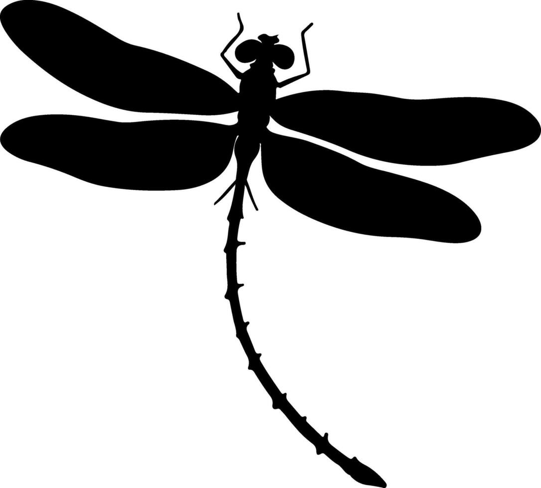Dragonfly silhouette on a white background vector