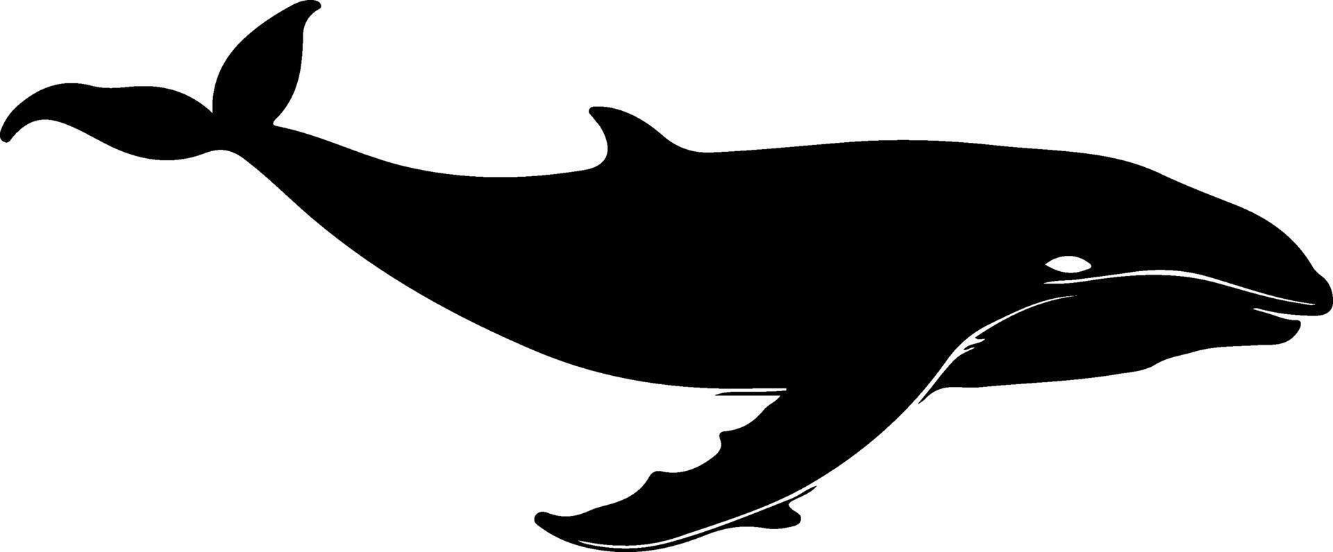 A black and white silhouette of a whale vector